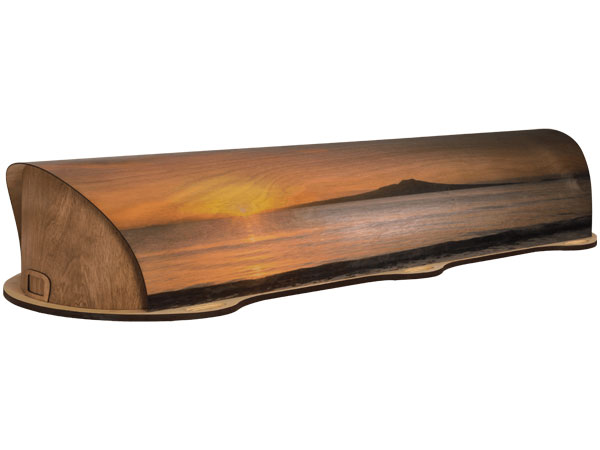 Artisan Plywood Coffin