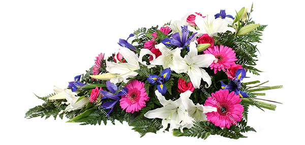 graceful-sheaf