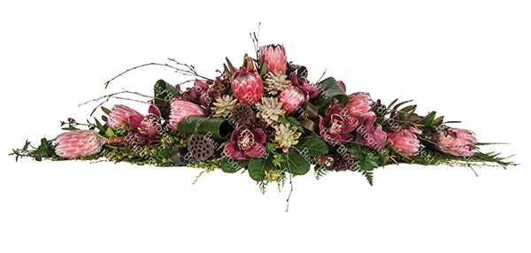 pink-protea