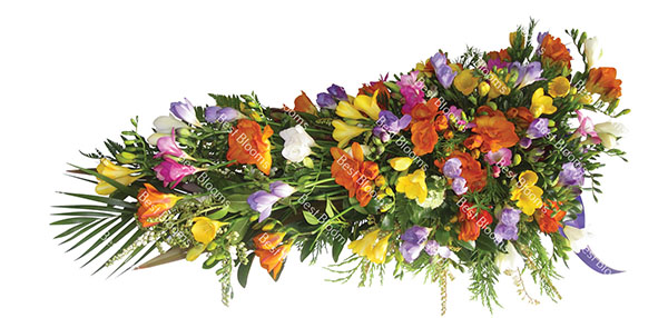 spring-freesia Spring Freesia Natural Spray Funeral Flowers