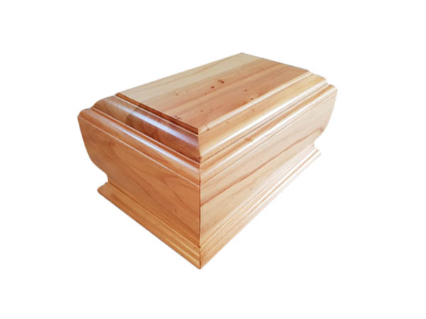 Avon-Macrocarpa