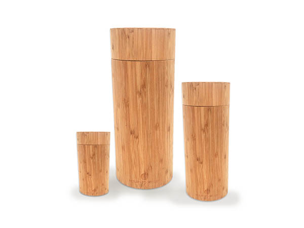 Bamboo