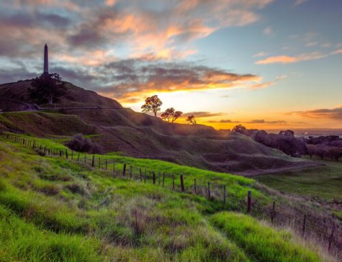 Understanding Your Funeral Options in Auckland